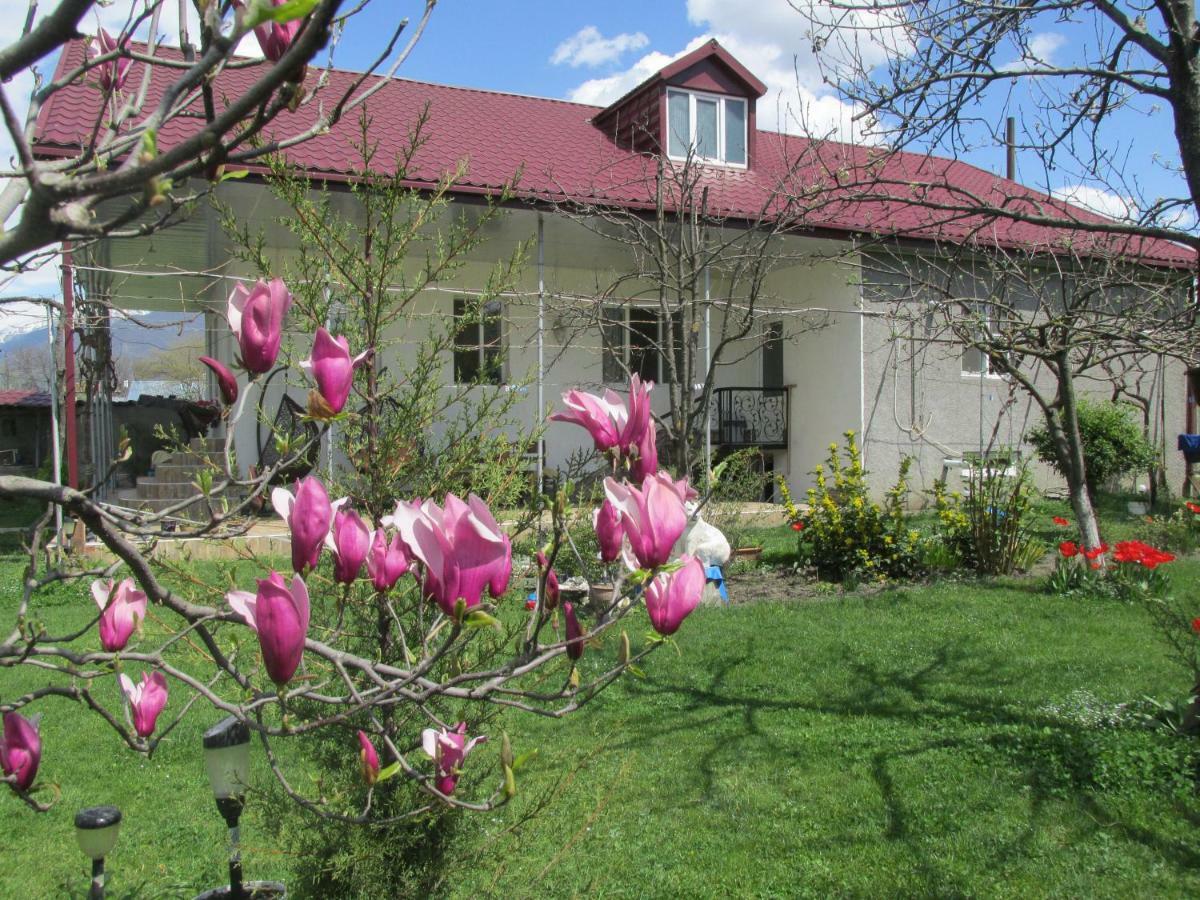 Guest House Melissa Duisi Luaran gambar
